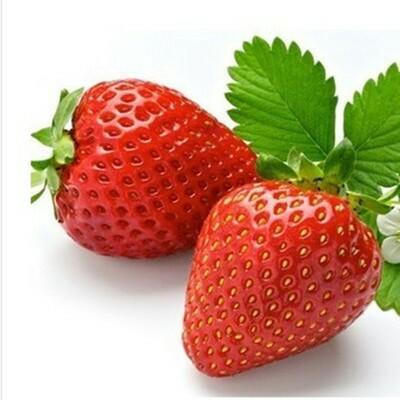 奶油草莓(2斤) - 沃田果品